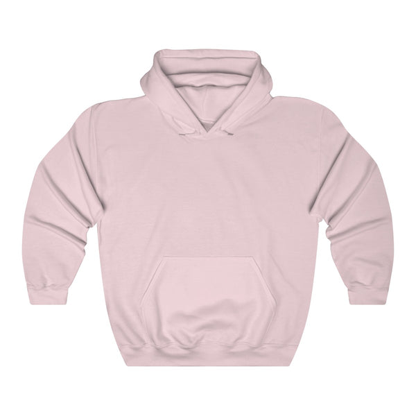 Plain hooded sweater | Women sweater