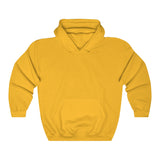 Plain hooded sweater | Women sweater